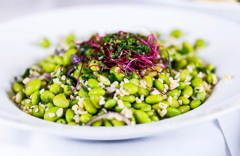 Salat til Dagens Frokost
